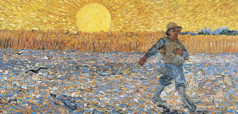 Immagine articolo