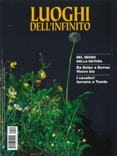 Immagine copertina numero