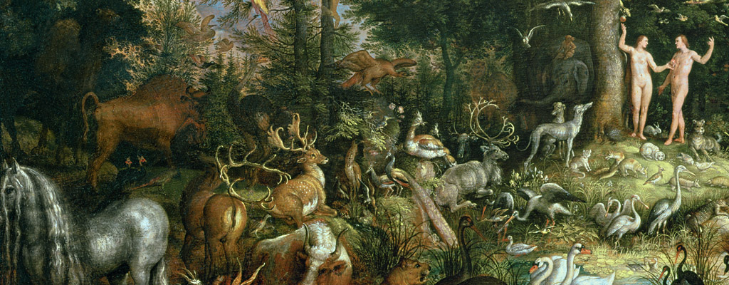 Immagine articolo