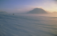 Immagine articolo