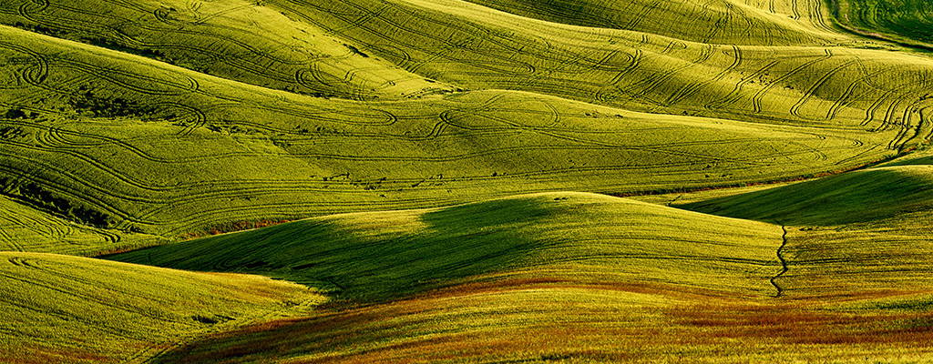Immagine articolo