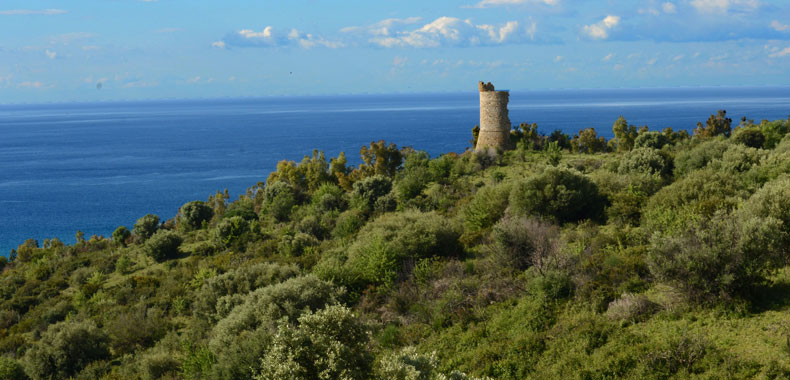 Immagine articolo