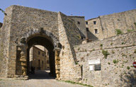 Immagine articolo
