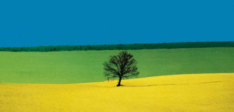 Immagine articolo
