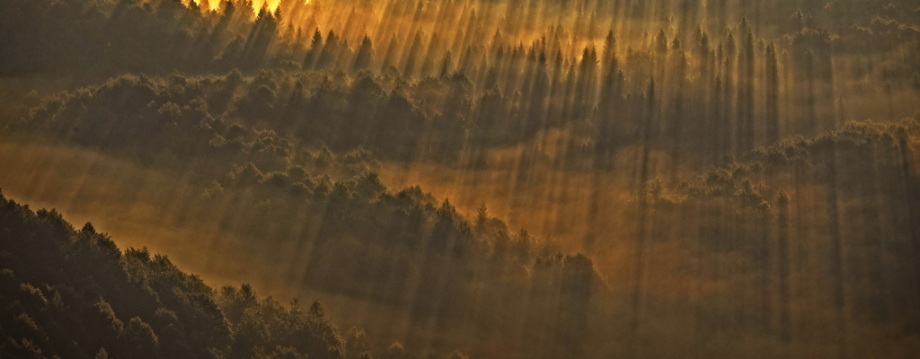 Immagine articolo